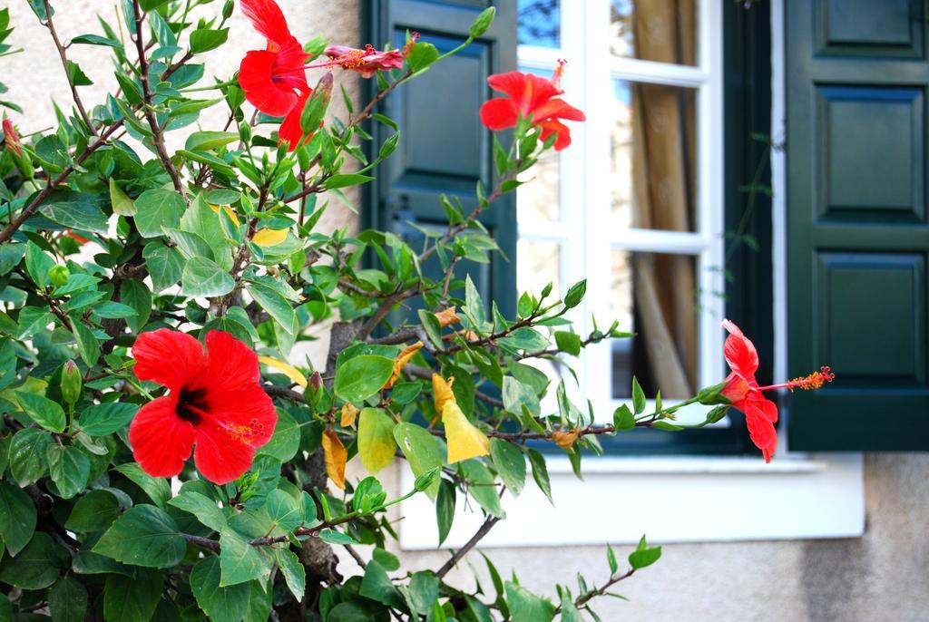 Twin House Spetses Hotel Buitenkant foto