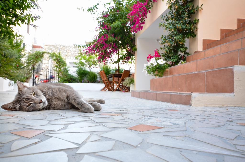 Twin House Spetses Hotel Buitenkant foto
